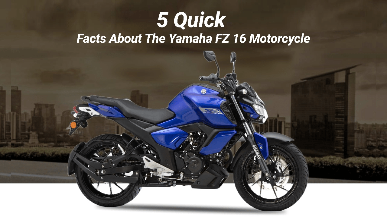 Yamaha fz 5 online v3